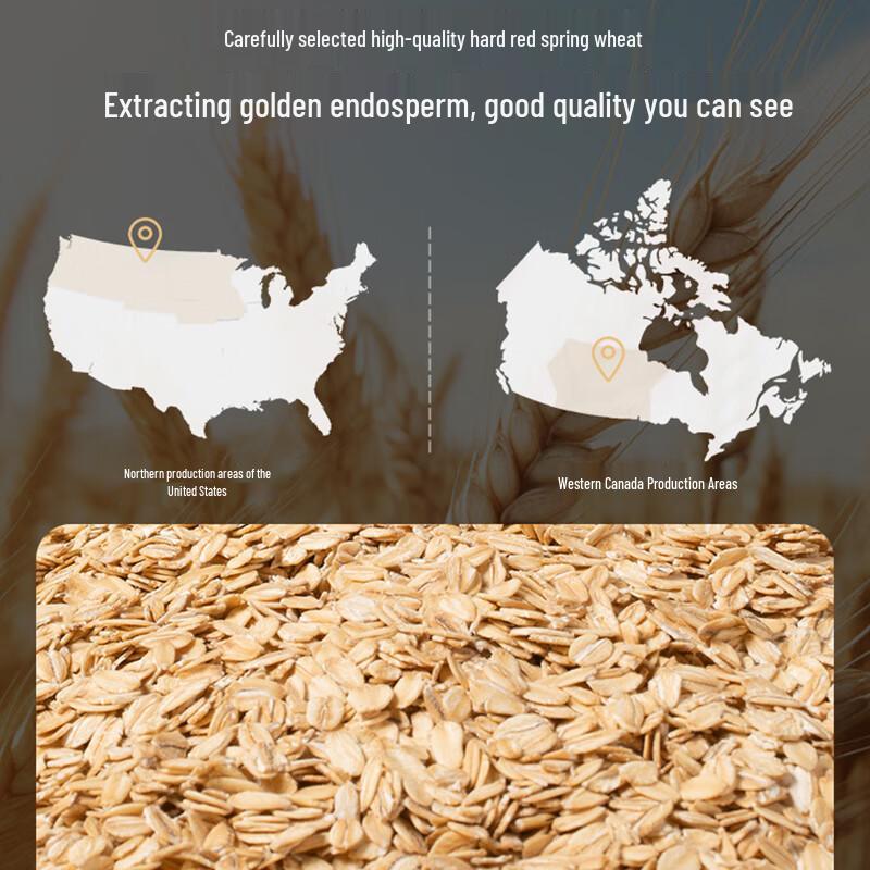 Gold Coin Brand High-Gluten Baking Flour