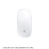 Apple Magic Mouse
