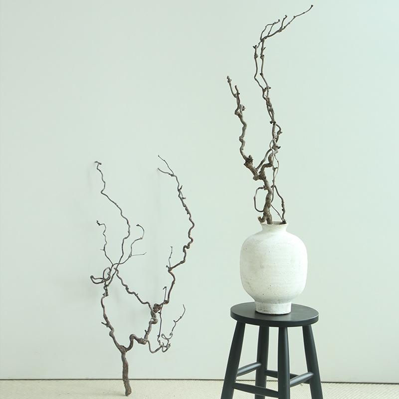 Изогнутые ветки зизифуса (ююбы) для ваби-саби икебаны и дзен-искусства