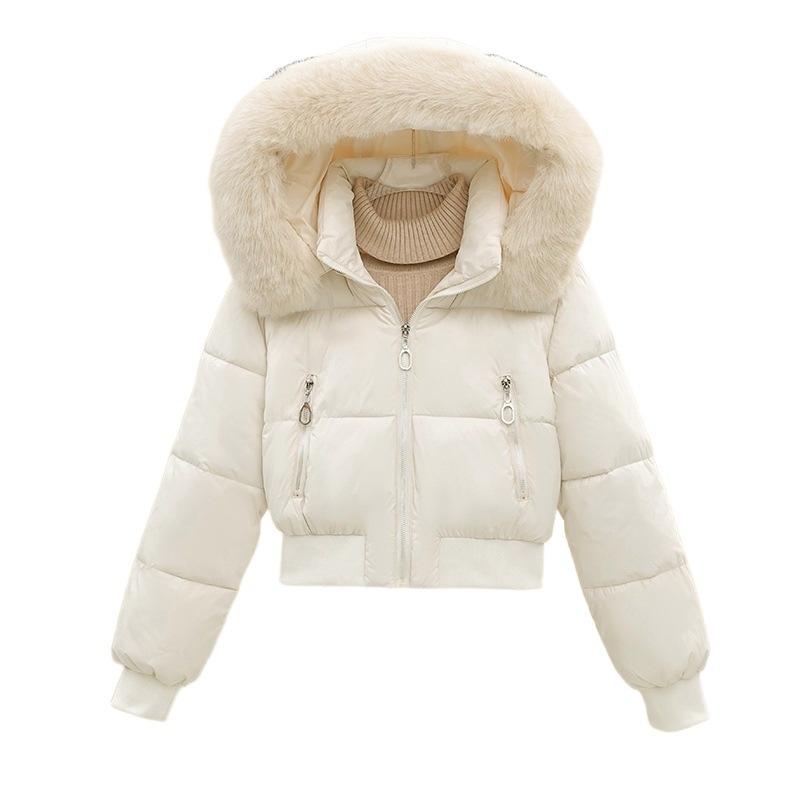 Autumn and winter high waist short hooded big fur collar cotton clothes women's thickened bread cotton clothes small women's clothing one piece batch