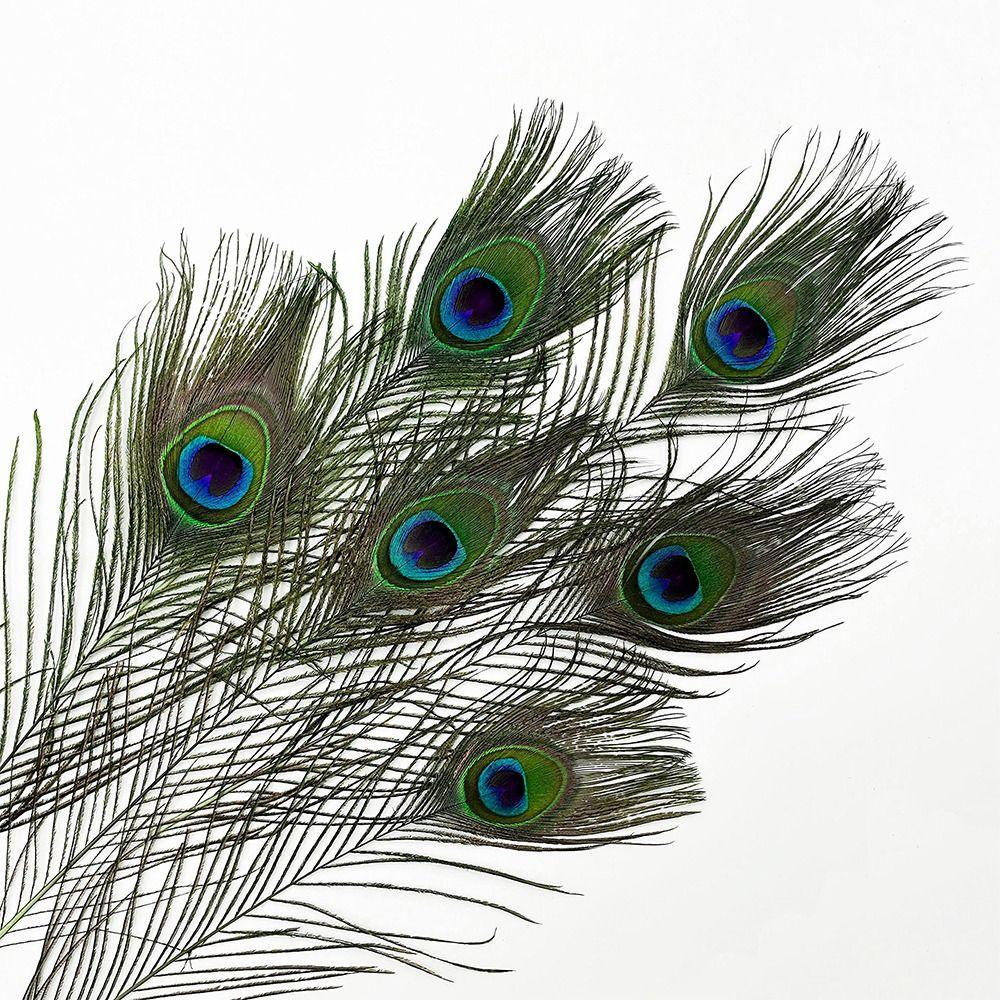 Wedding Decorations Feather Boas Colorful Feathers Natural Peacock Feathers Flower Arrangement