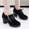High Heels Women Ankle Boots Suede Retro Lace Up Chunky Shoes 2025 Trend Designer Zipper Pumps New Goth Winter Motorcycle Botas
