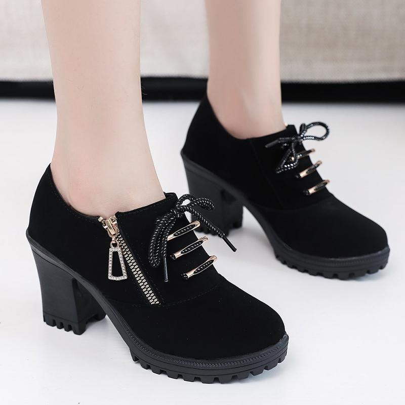 High Heels Women Ankle Boots Suede Retro Lace Up Chunky Shoes 2025 Trend Designer Zipper Pumps New Goth Winter Motorcycle Botas