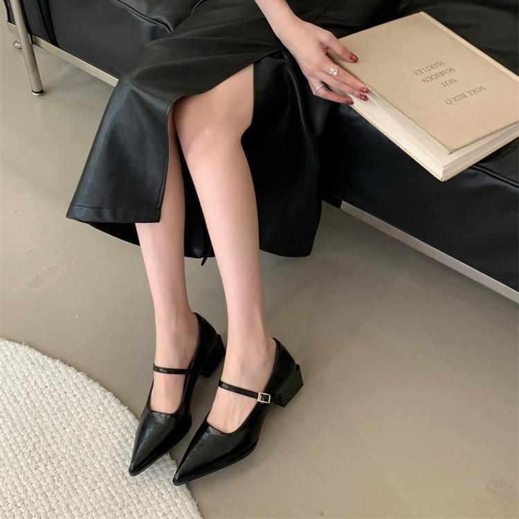 French pointed single shoes women's thick heel with Mary Jane women's shoes 2025 spring new flat-bottomed shallow mouth small leather shoes