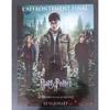 Гарри Поттер и реликвии смерти 2-я вечеринка Оригинальная наклейка в кинотеатре Roulée 53x40см