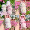 Sakura Season Cat Bear Rabbit Animal Plush Keychain With Hanging Strap For Bag Decor