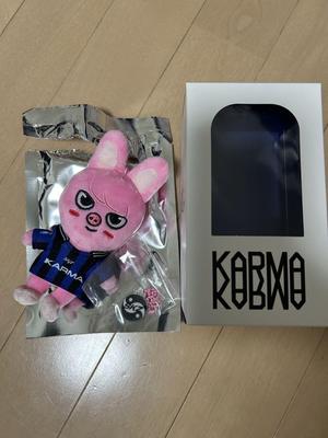 [Б/У] straykids KARMA Плюшевая игрушка Dwaekki