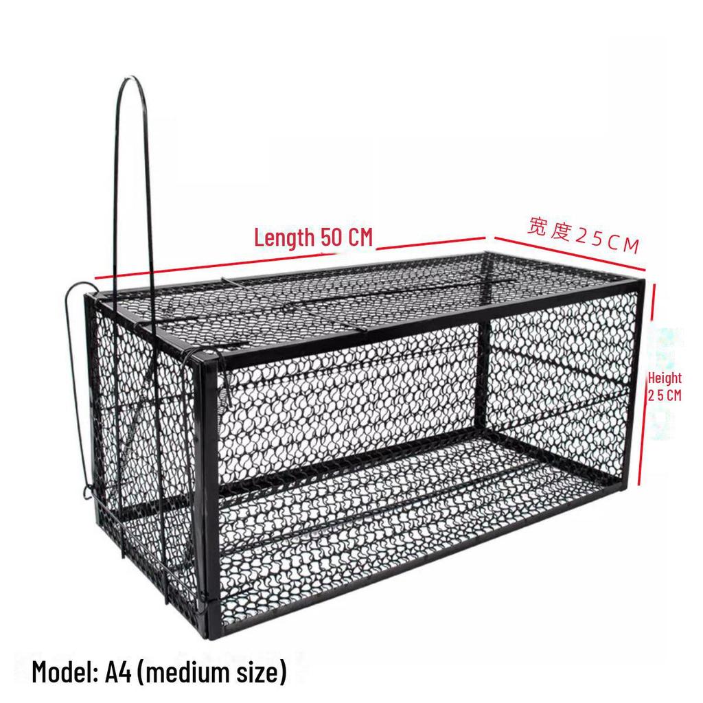 Полностью автоматическая клетка для больших кошек для гуманного спасения