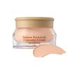 [SKINFOOD] Salmon Dark Circle Concealer Cream 10g (2 Types)