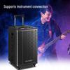 SANSUI E08 Portable Karaoke Speaker with Dual Microphones CN plug (adapter included) (CN version)
