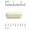 Women's Probiotic, Probiotic Bacteria Blend, Contains Bifidobacterium Lactis, Lactobacillus Acidophilus, Lactobacillus Rhamnosus, 20 Billion CFU