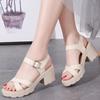 High Heels Gladiator Sandals Woman Open Head Sexy Block Heel Platform Shoes Summer Buckle Size 40 Women Sandals