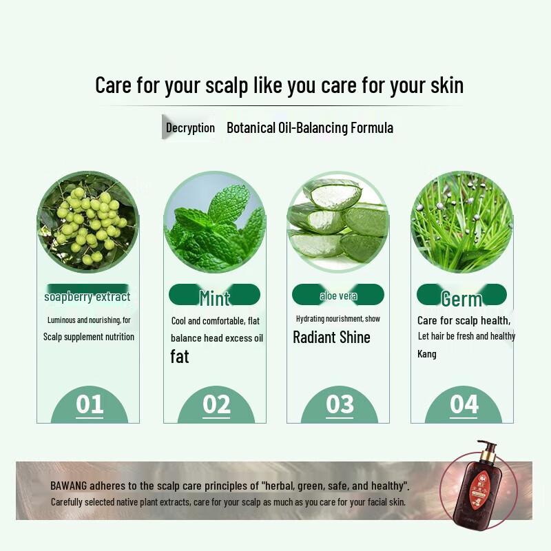 Bawang Sapindus Oil Control & Anti-Dandruff Shampoo