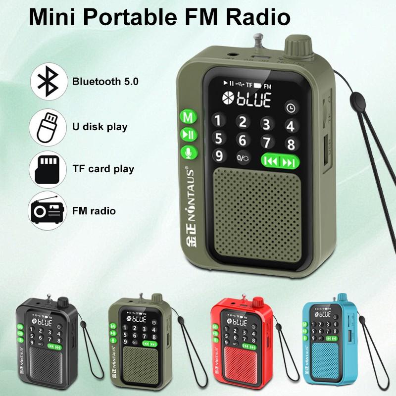 5 Вт Портативное FM-радио Беспроводной Bluetooth-динамик TF-карта USB-накопитель Музыка MP3-плеер