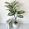 Ochrosia Maculata Jacq Tree Synthetic Greenery For Indoor Home Office Decoration And Photography