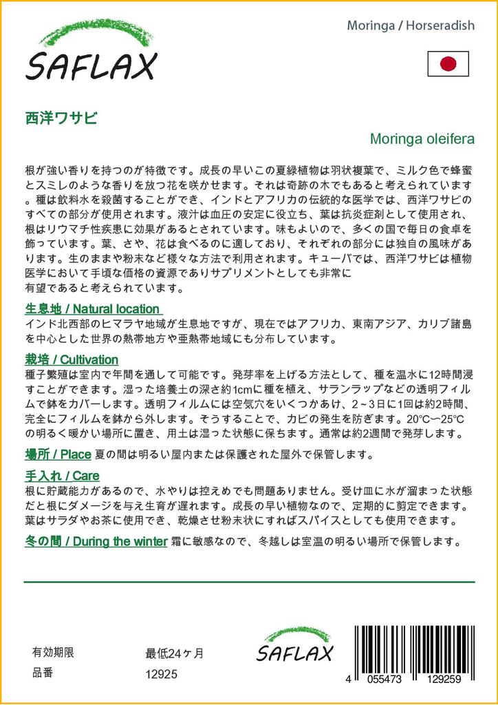 SAFLAX Хрен - 10 семян - Moringa oleifera