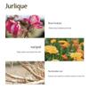 Jurlique Розовый смягчающий лосьон для рук