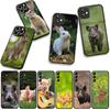 Cover for Apple iPhone 16 15 14 Plus 13 12 Mini 17 Pro Max + ProMax 16E Air Phone Case Rabbit Wild Boar Pig