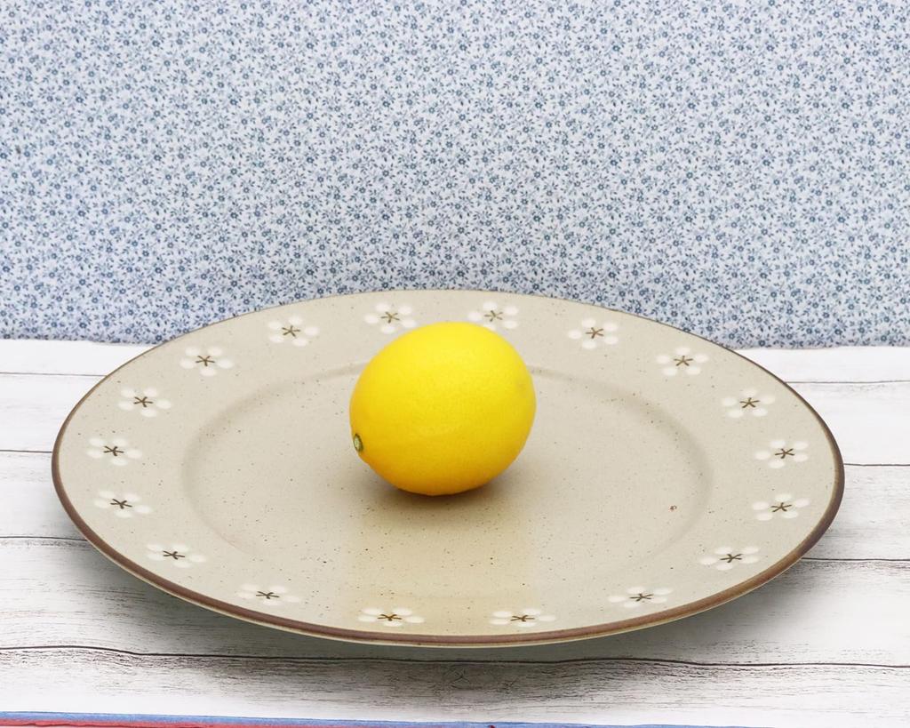 Castle Enterprise [Set of 5 29cm Dinner Plates] Mino Ware, Kamakura Old House Cafe Series