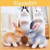 Easter Rabbit Zodiac Plush Toy Cartoon Stuffed Doll Room Decoration Gift Kids