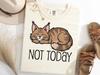 Not Today Maine Coon Shirt, Fluffy Cat TShirt, Lazy Cat Tee, Sleeping Maine Coon Shirt, Anti Social Mood Shirt, Cat Dad Gift