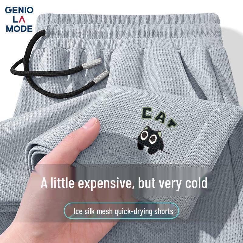 GENIOLAMODE Men's Quick-Dry Mesh Casual Shorts