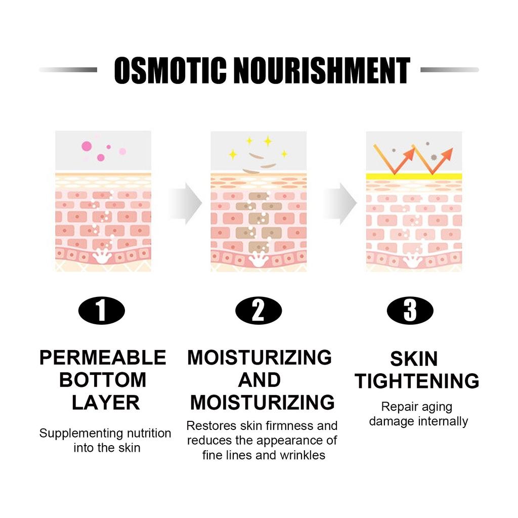 Ginseng Snail Extract Brighten Skin Tone Nourish Repair Dull Skin Fade Fine Lines Anti-Wrinkle Essence