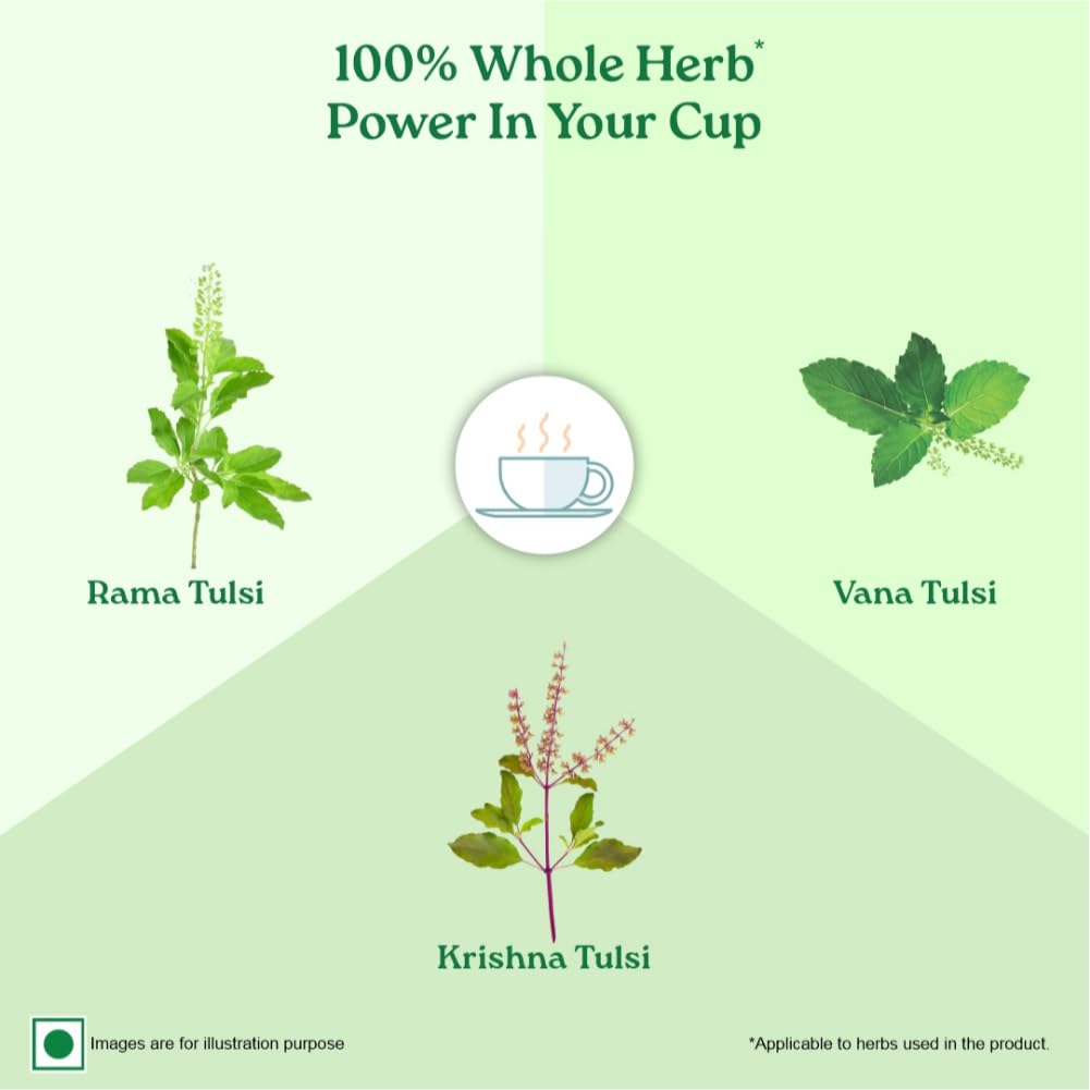 ORGANIC INDIA Зеленый чай с Тулси Классический Рассыпной 100 г Освежающий Антиоксидантный Травяной Сбор для Ежедневного Самочувствия и Спокойных Моментов