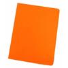 Mariola Orange A4 Sub-folder 50 Pieces - 8436013254697
