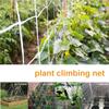 Сетка для домашнего садоводства, многофункциональная полиэфирная лоза, шпалера для восхождения