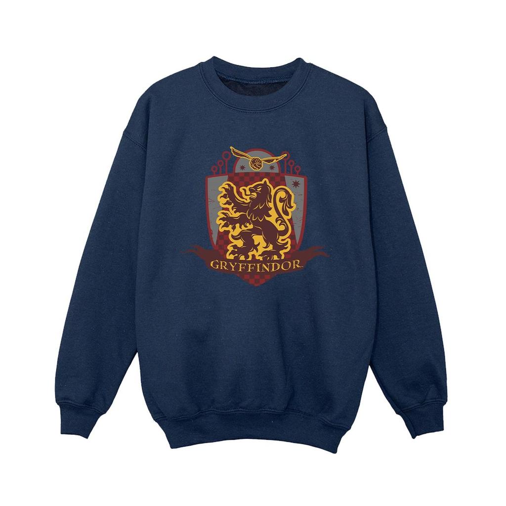Harry Potter Boys Gryffindor Chest Badge Sweatshirt