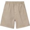 Carhartt WIP Flint Logo Patch Shorts I030480G1GD