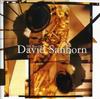 CD DAVID SANBORN - Best Of David Sanborn WPCR131 Warner Bros. Re 1994 Japan Jazz Used