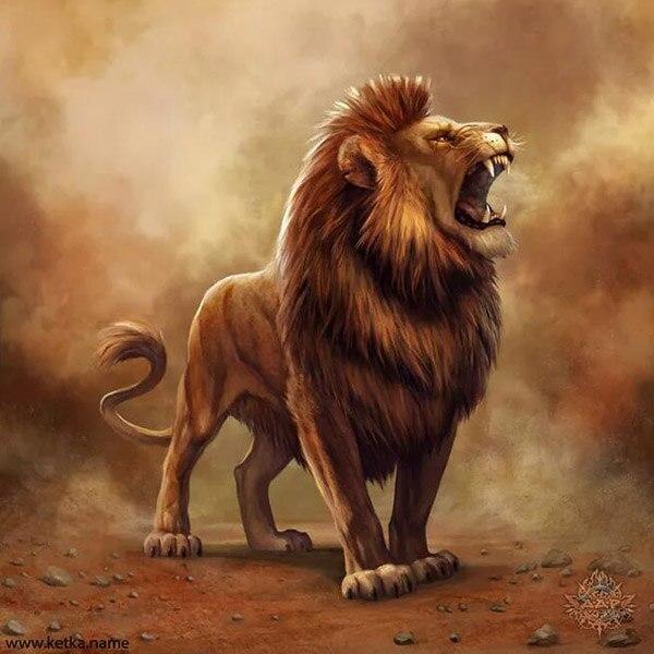 17 Style Full Round Drill Diamond Mosaic Lion Animals Diamond Painting Cross Stitch Wild Animal 5D DIY Diamond Embroidery Decor