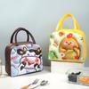 Lunch Box Bag Kawaii Portable Food Thermal Bag Stylish Stain Resistant Lunch Box Tote Bag for School Travel ARI