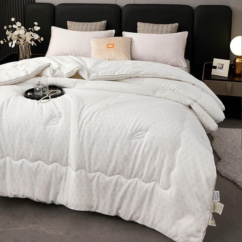 Donner Milk Silk Cloud Winter Quilt