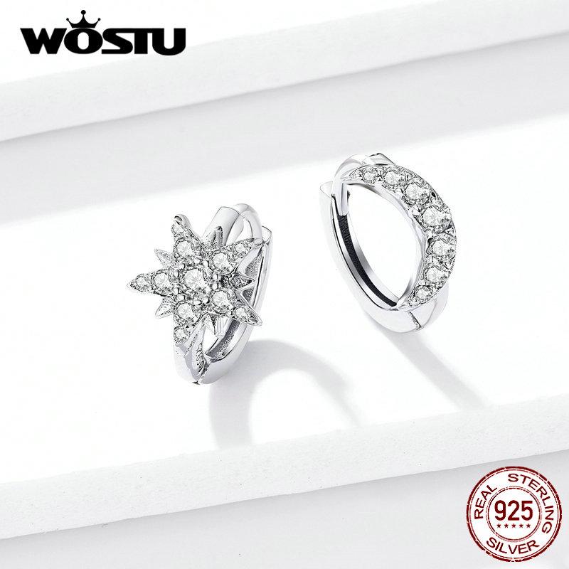 WOSTU Authentic 925 Sterling Silver Moon Star Earrings Classic Zircon Smart Earrings For Women Making Fine Jewelry CTE289