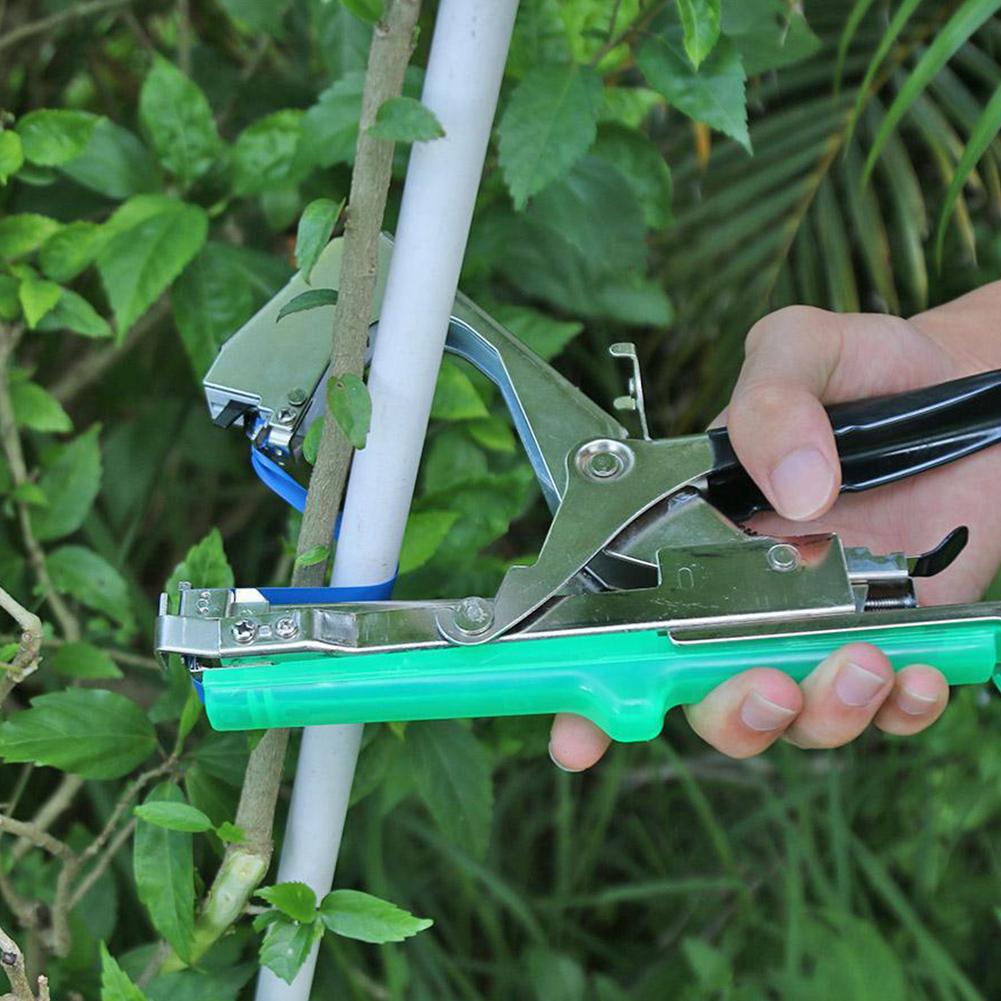 12/20pcs Plant Branch Tie Tape with 1 Box Staple Tying Binding Tie Tape Plant Tying Machine Tape Tool for Garden Plant Vine Tie