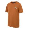 Regatta Mens Cline IX Mountain T-Shirt