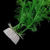 Artificial Aquarium Accessories Water Grass Fish Tank Plant Aquarium Weed Decor