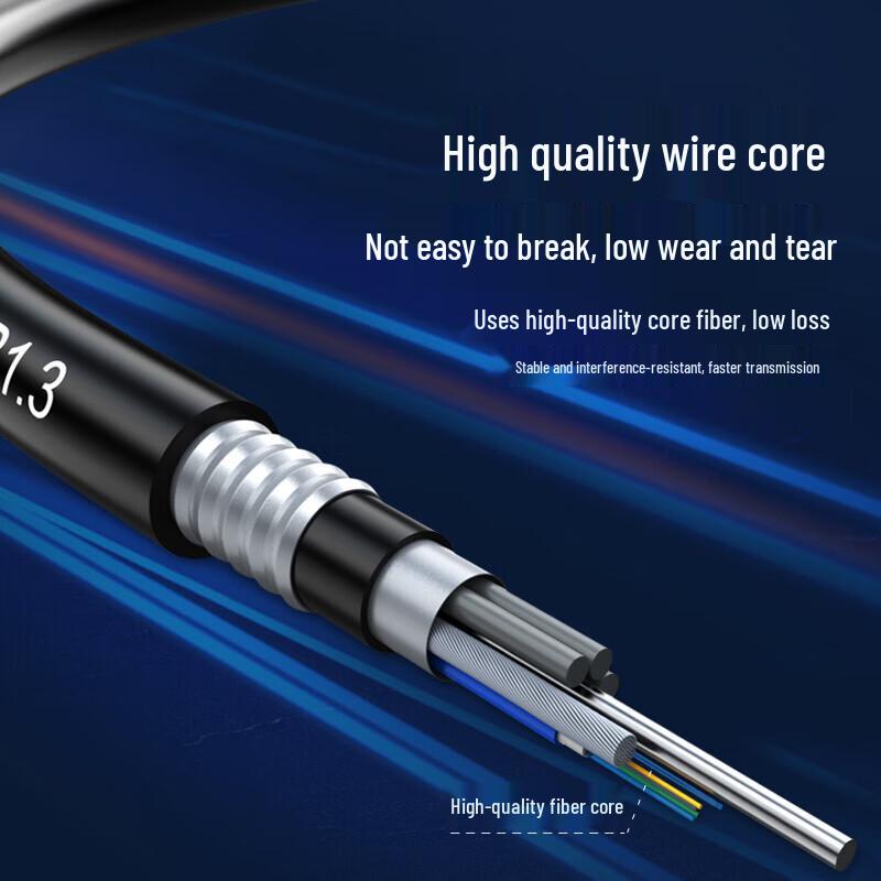 Shengwei Outdoor Single-Mode Armored Fiber Optic Cable