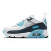 Кроссовки Air Max 90 EasyOn PS Baltic Blue Kids, белые, темно-синие, волчьи, серые, HF6357-100