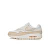Кроссовки Nike Air Max 1 Premium