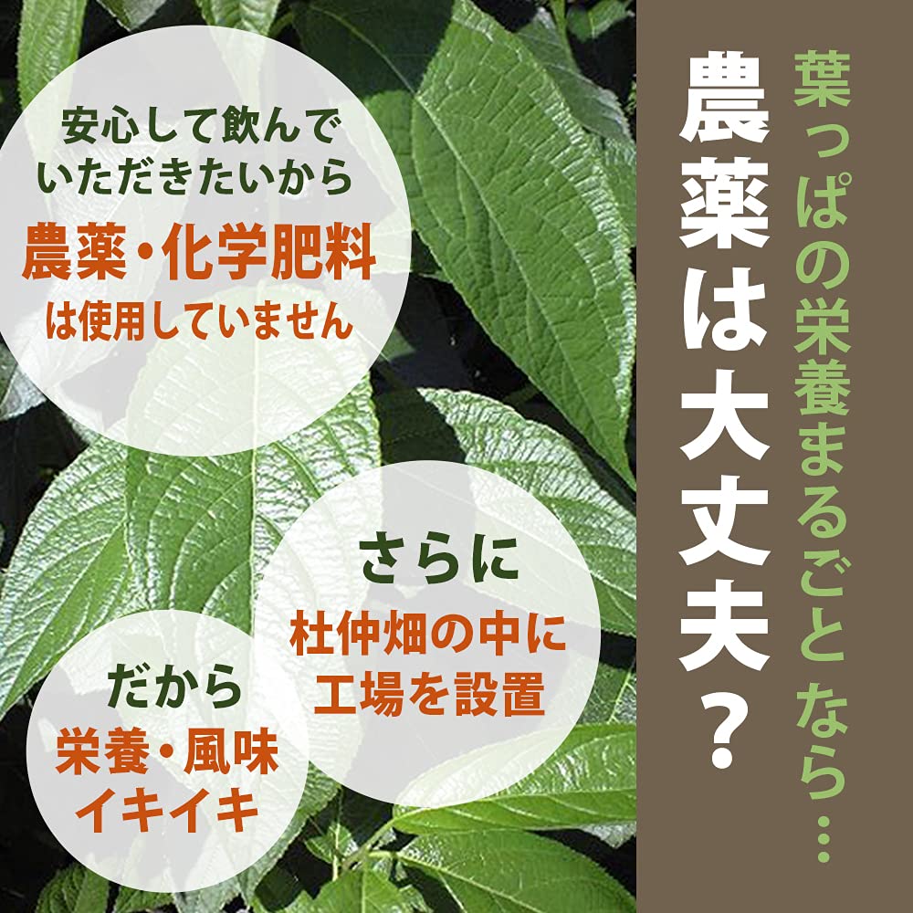 Полезный продукт питания Генрёя Чай Точу в порошке, Сделано в Японии, Примерно 200 чашек, 100 г x 1 пакет