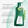 100 Years Runfa Purifying Anti-Dandruff Shampoo