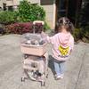 Portable Cat Bag 2 Layers Design for Outdoor Pet Trolley Case Transparent Panoramic Transport Cage Multifunctional Cat Handbag