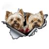 S50065# Yorkshire Dog Yorkie Couple Sticker On The Car Vinyl Decal Waterproof Decoration Car Stickers