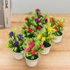 Miniascape Wedding Party Decortion with Pots Outdoor Decor Artificial Flower Fake False Plants