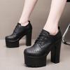 New Women Pumps Shoes Size 32-43 Deep Mouth  Women Oxfords Fall Winter Plush Thick High Heel Shoes Platform Pumps Office