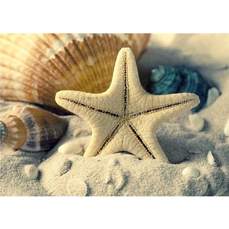 Алмазная картина Морская звезда, полная квадратная мозаика, художественная Алмазная вышивка, пейзажная картина из стразов, украшение для дома